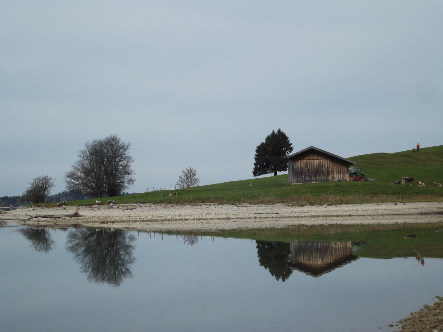 Spätherbst am Forggensee - wo ist unten, wo oben?