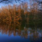 Spätherbst am Heider Bergsee