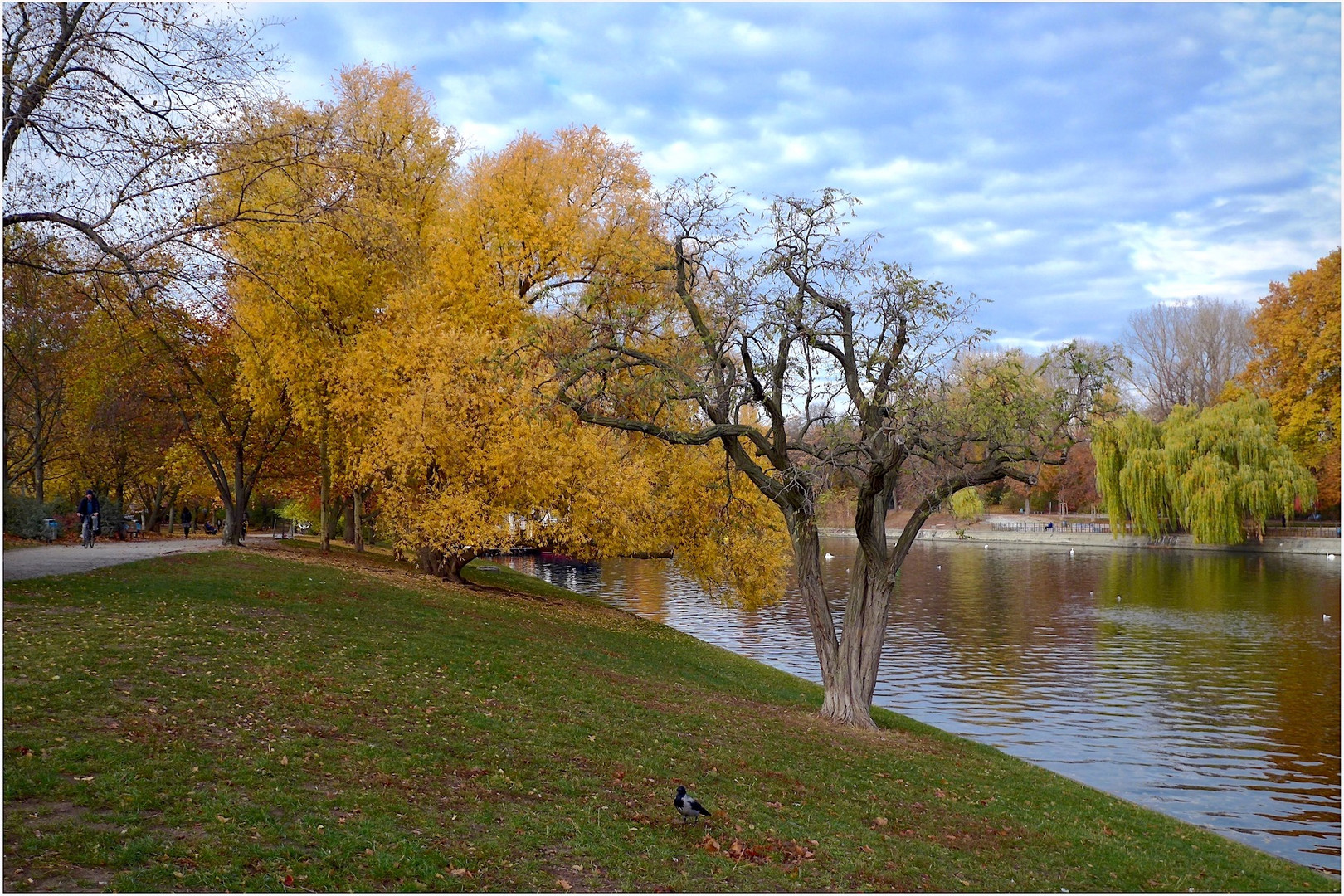 Spätherbst am Landwehrkanal