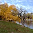 Spätherbst am Landwehrkanal