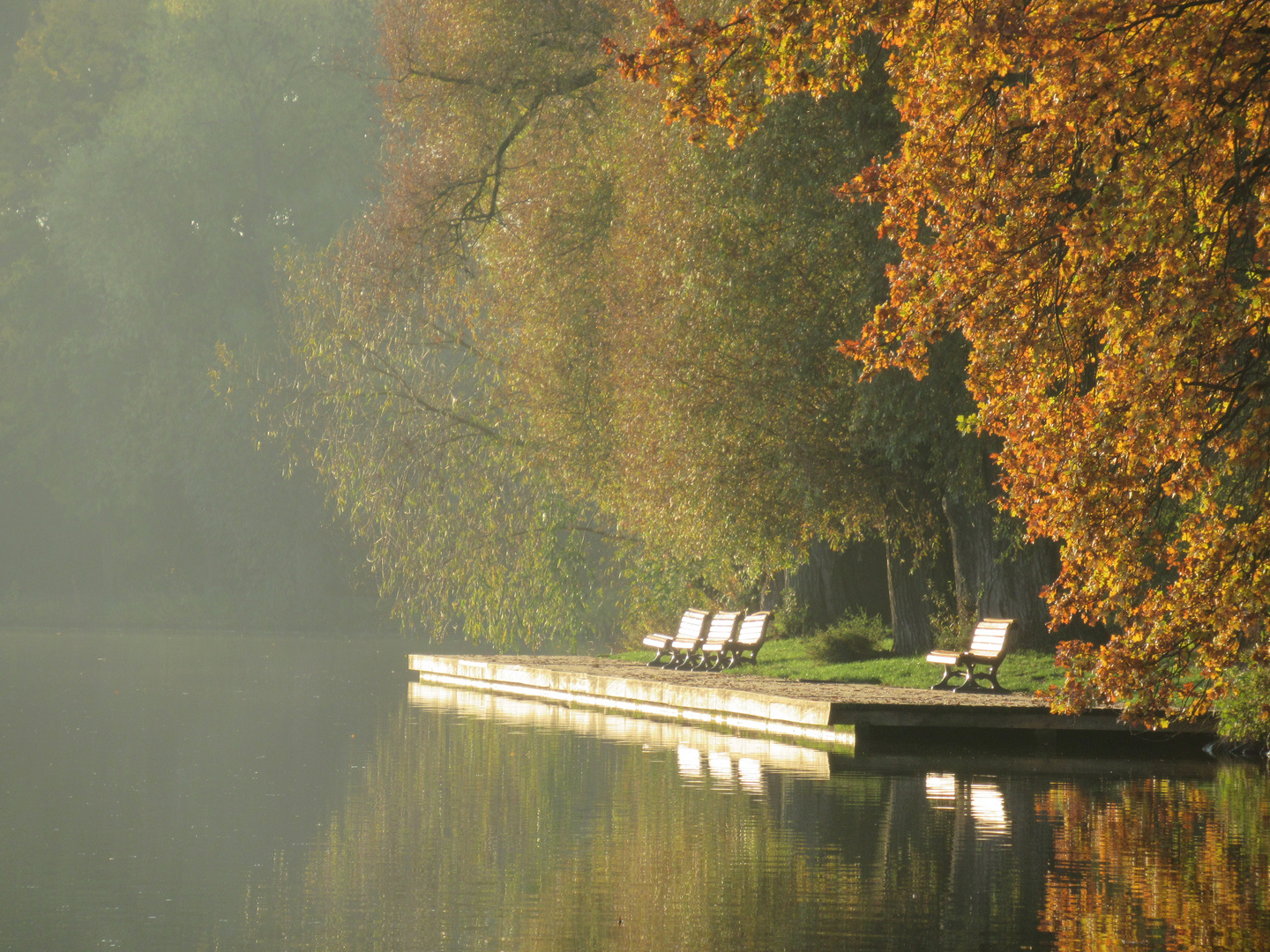 Spätherbst am Maschsee