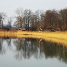 Spätherbst am Mattsee