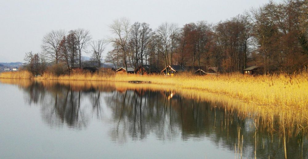 Spätherbst am Mattsee