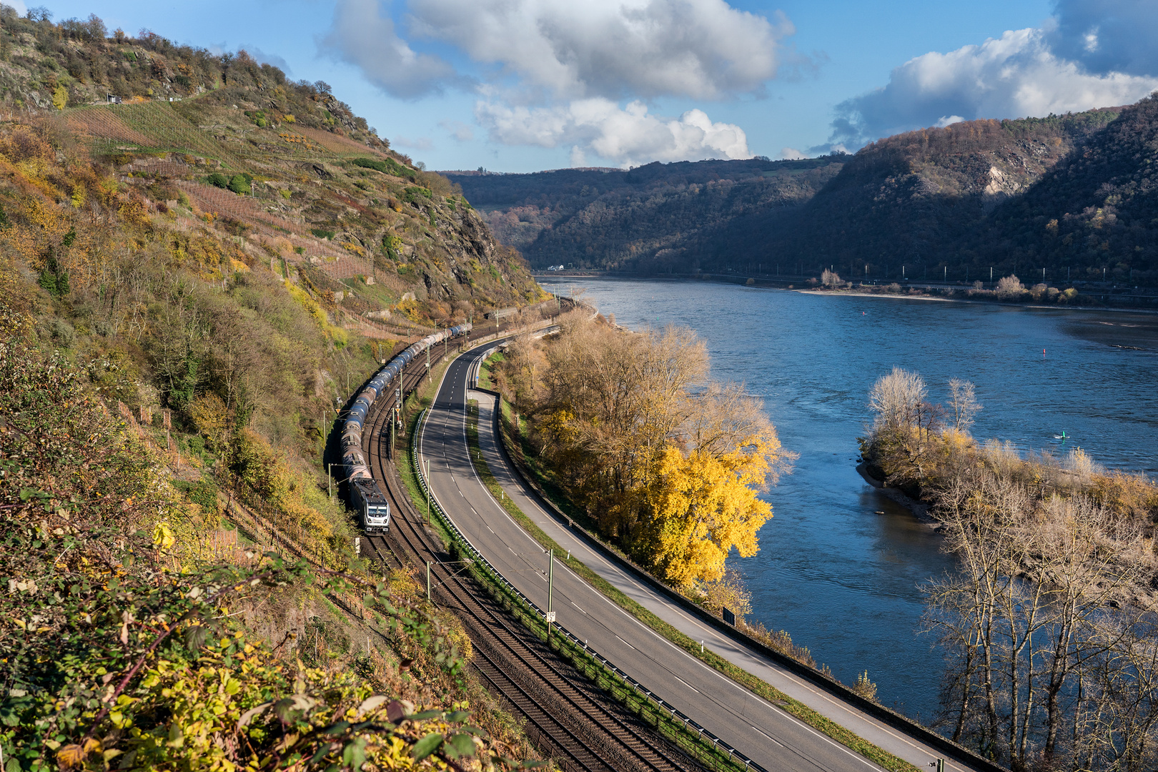 Spätherbst am Mittelrhein - VIII -