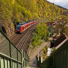 Spätherbst am Neckar