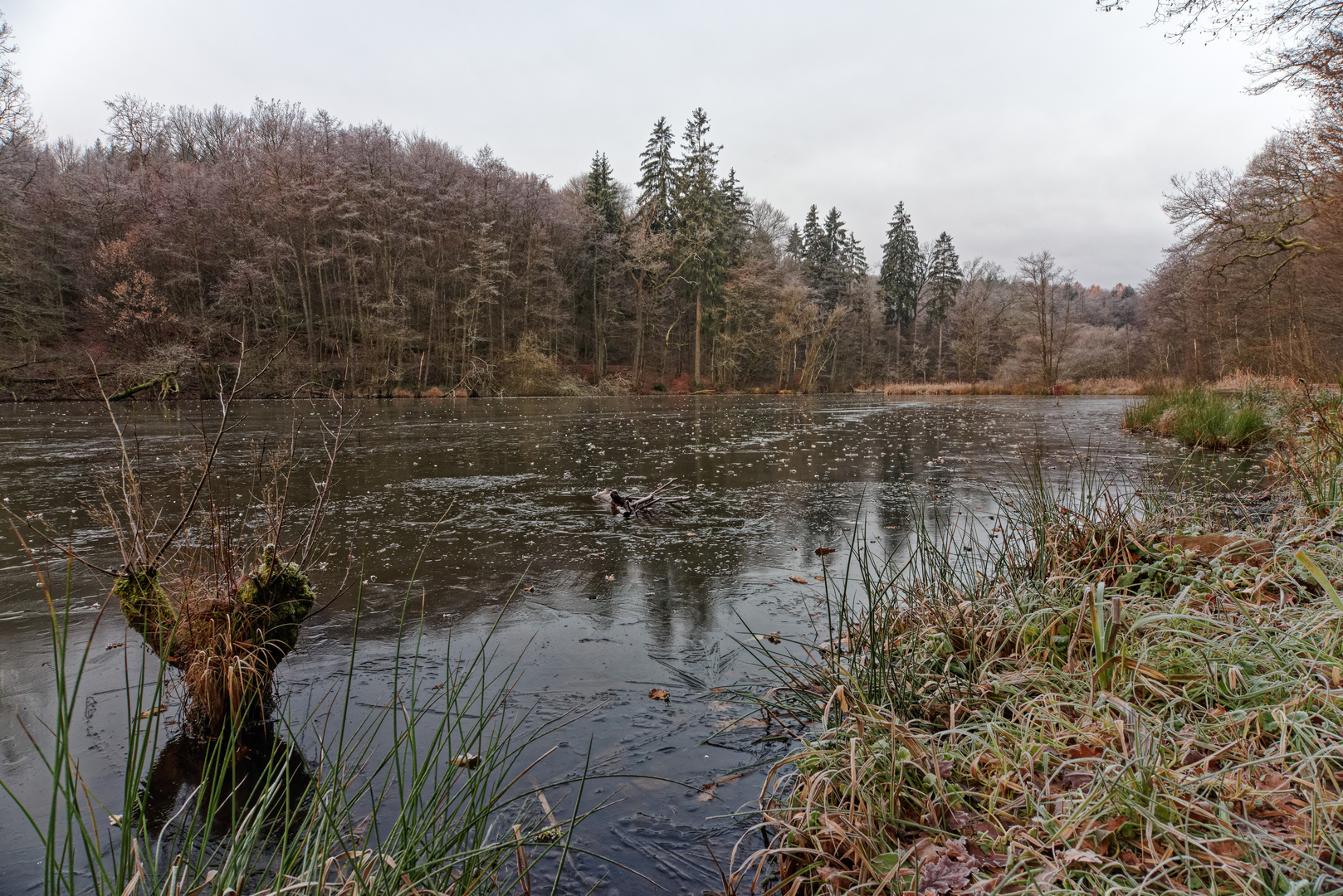 Spätherbst am Netzbachweiher