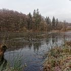 Spätherbst am Netzbachweiher