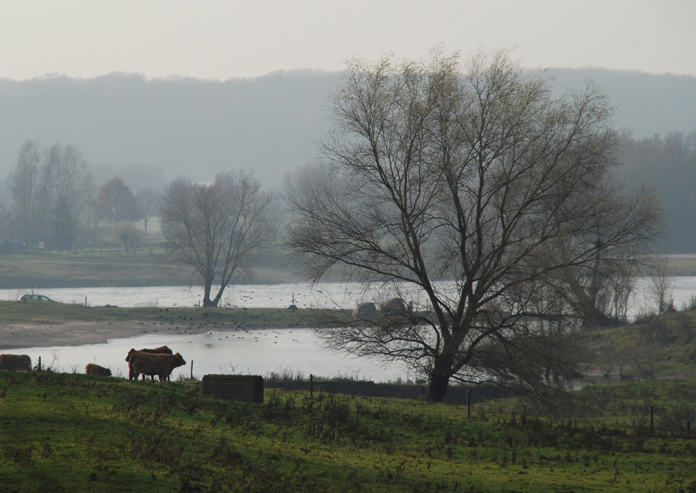 Spätherbst am Niederrhein