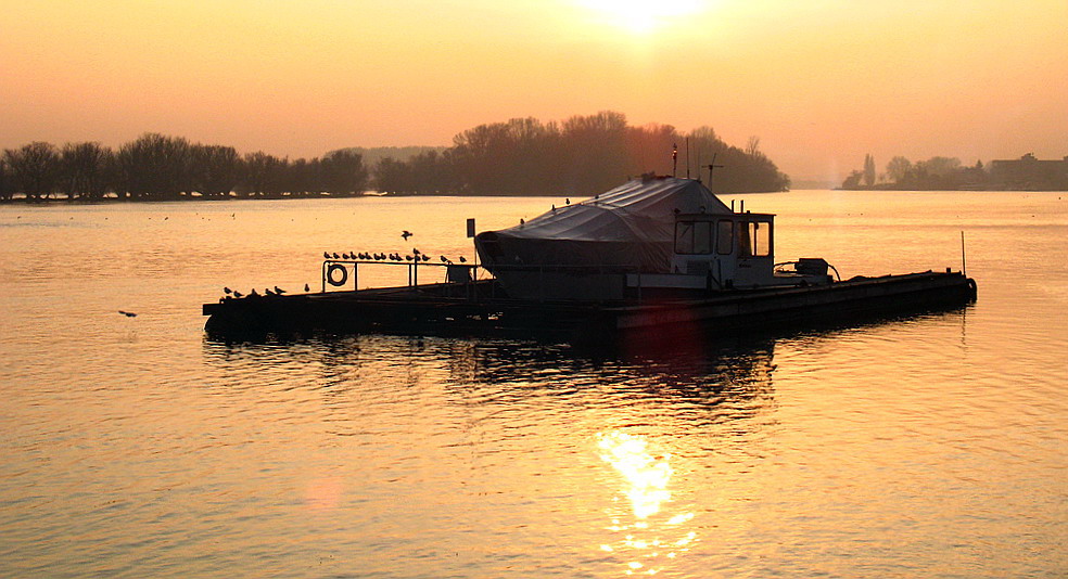 ...Spätherbst am Rhein....