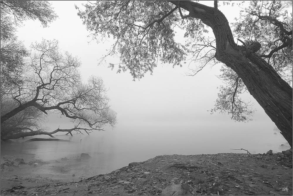 Spätherbst am Rhein