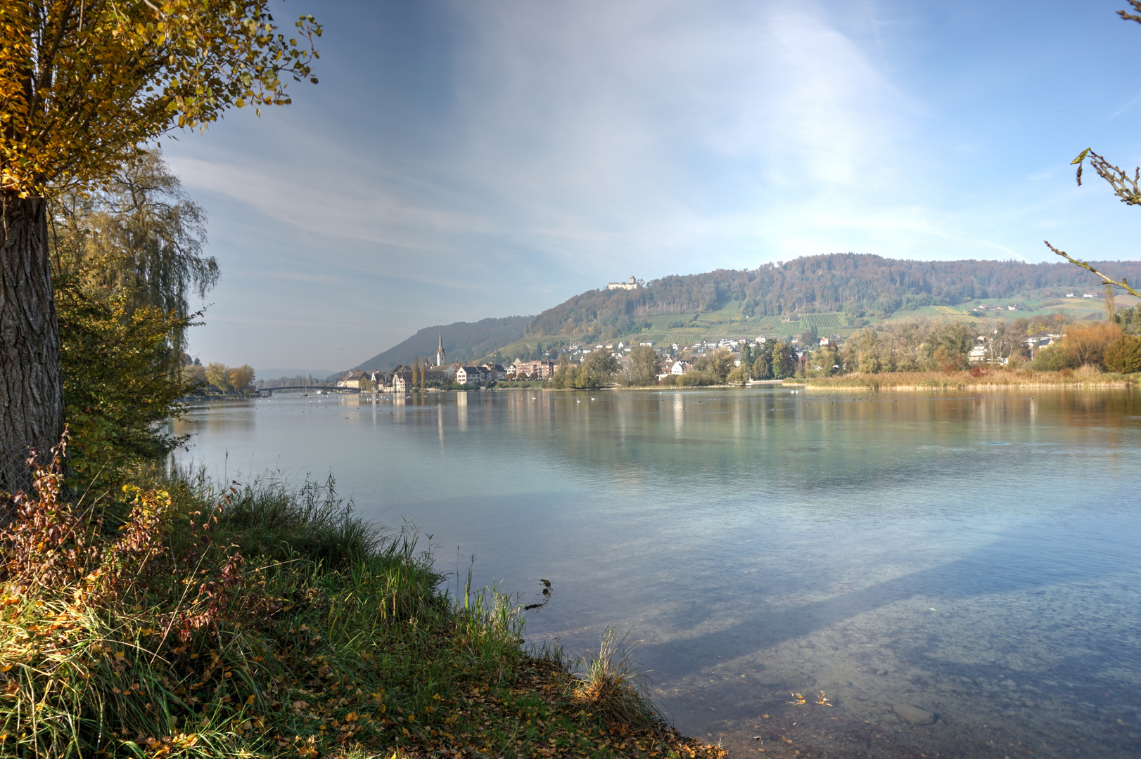 Spätherbst am Rhein
