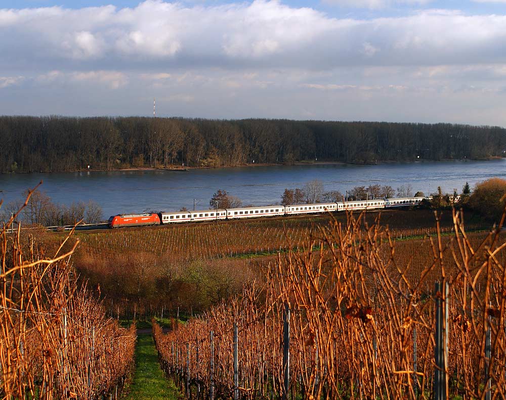 Spätherbst am Rhein