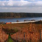 Spätherbst am Rhein