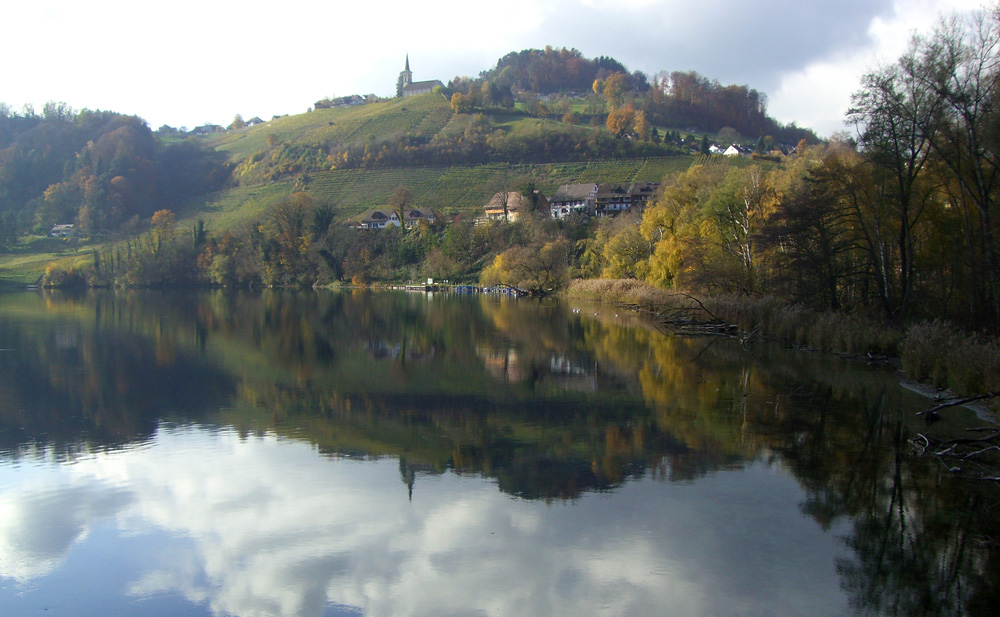 Spätherbst am Rhein...