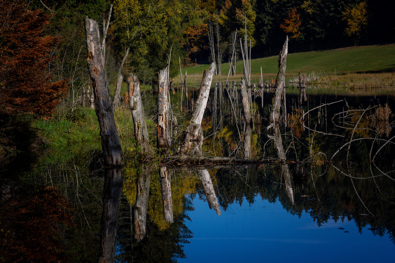 Spätherbst am See 2