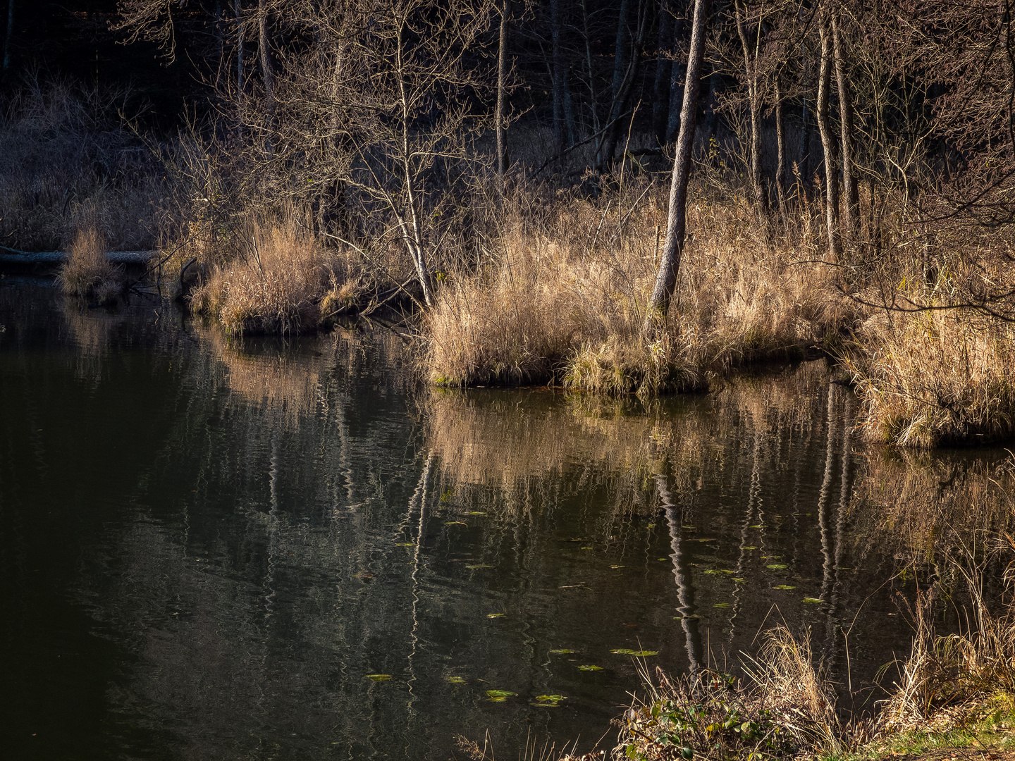 Spätherbst am See