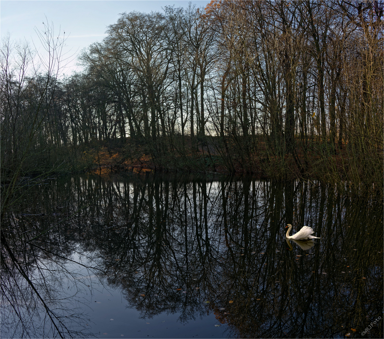 Spätherbst am Teich