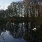 Spätherbst am Teich