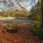 Spätherbst am Teich 2