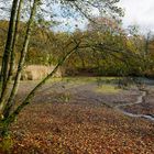 Spätherbst am Teich 3