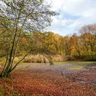 Spätherbst am Teich