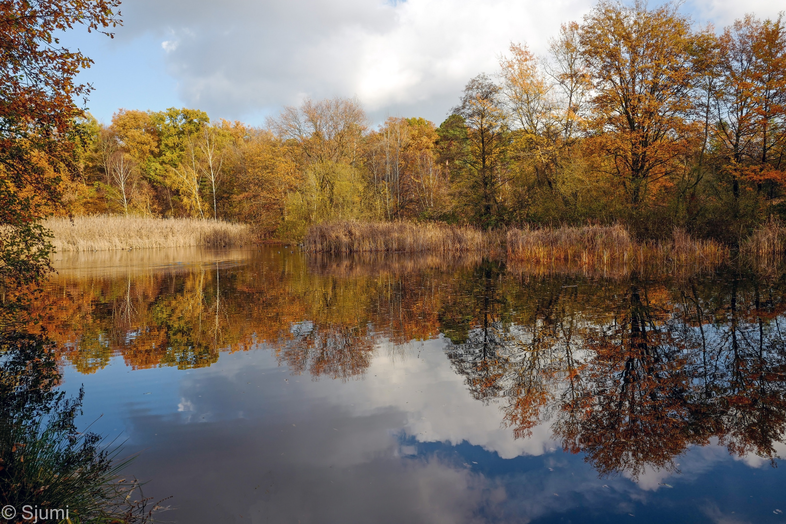 Spätherbst am Teich