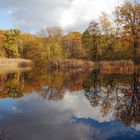 Spätherbst am Teich