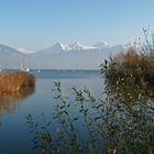 Spätherbst am Thunersee 2