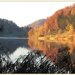 Spätherbst am Türlersee (1)