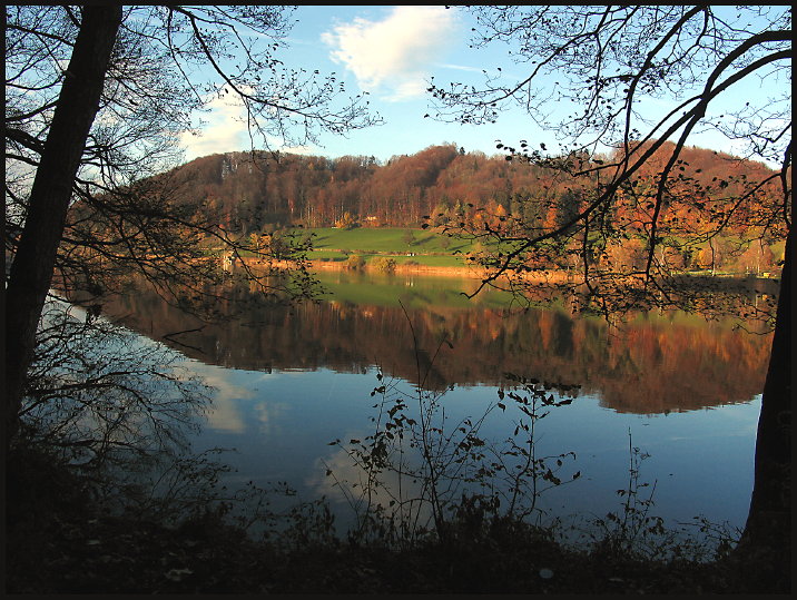 Spätherbst am Türlersee (2)