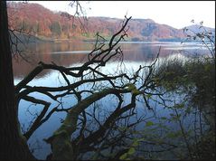 Spätherbst am Türlersee (3)