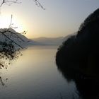 Spätherbst am Vierwaldstättersee bei Gersau, Schweiz