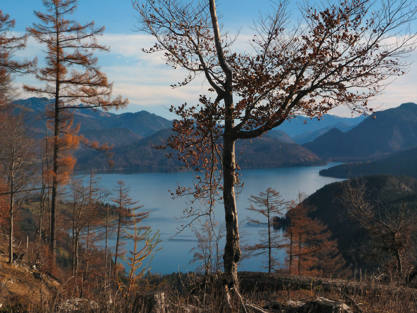 spätherbst am walchensee