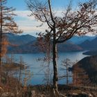 spätherbst am walchensee