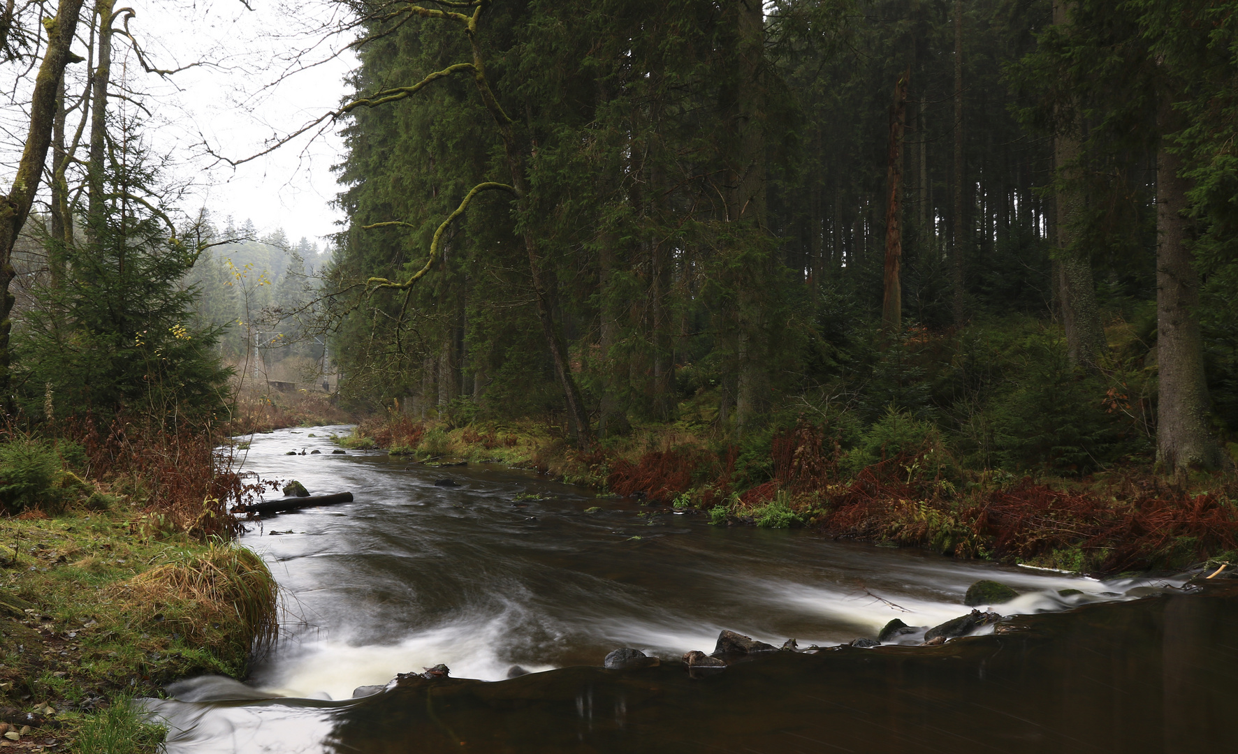 Spätherbst am Waldbach