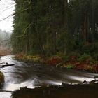 Spätherbst am Waldbach