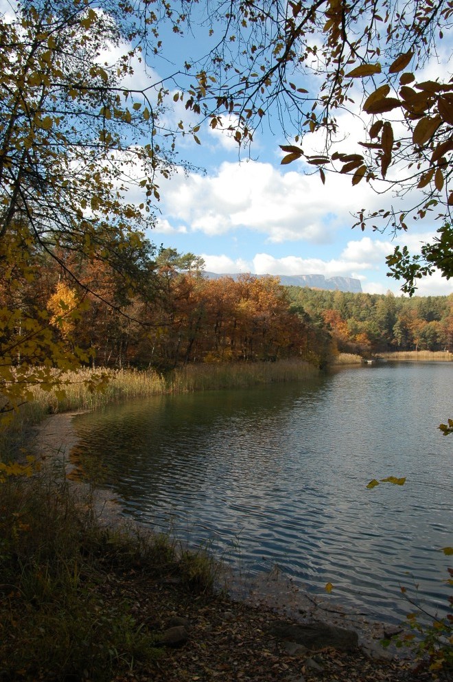 Spätherbst am Wasser