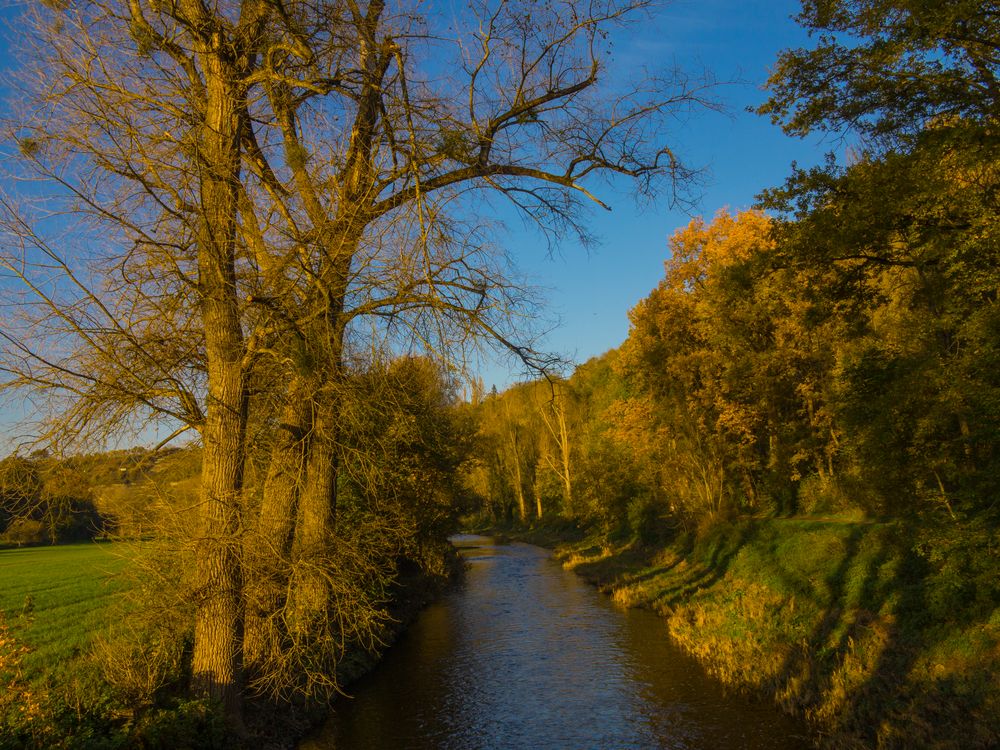 Spätherbst an der Enz 1