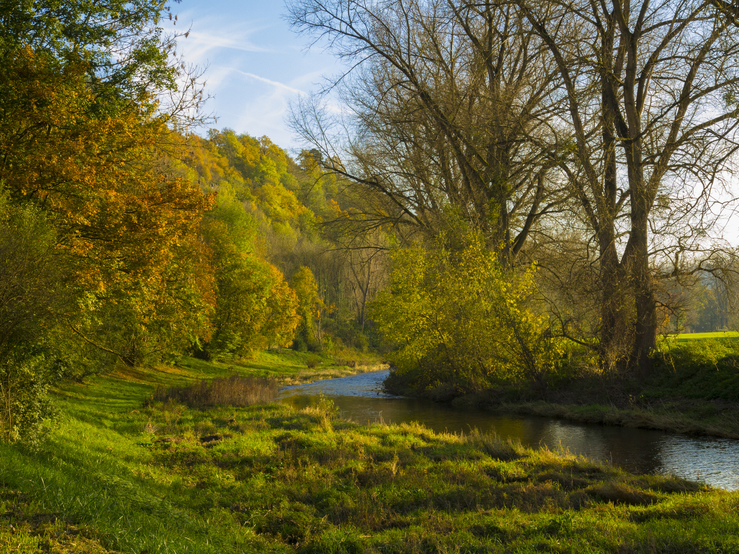 Spätherbst an der Enz 2