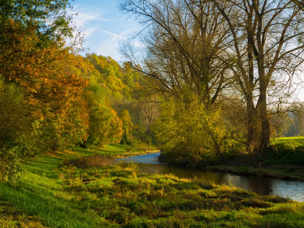 Spätherbst an der Enz 2