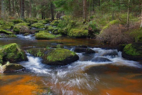 Spätherbst an der Großen Kamp