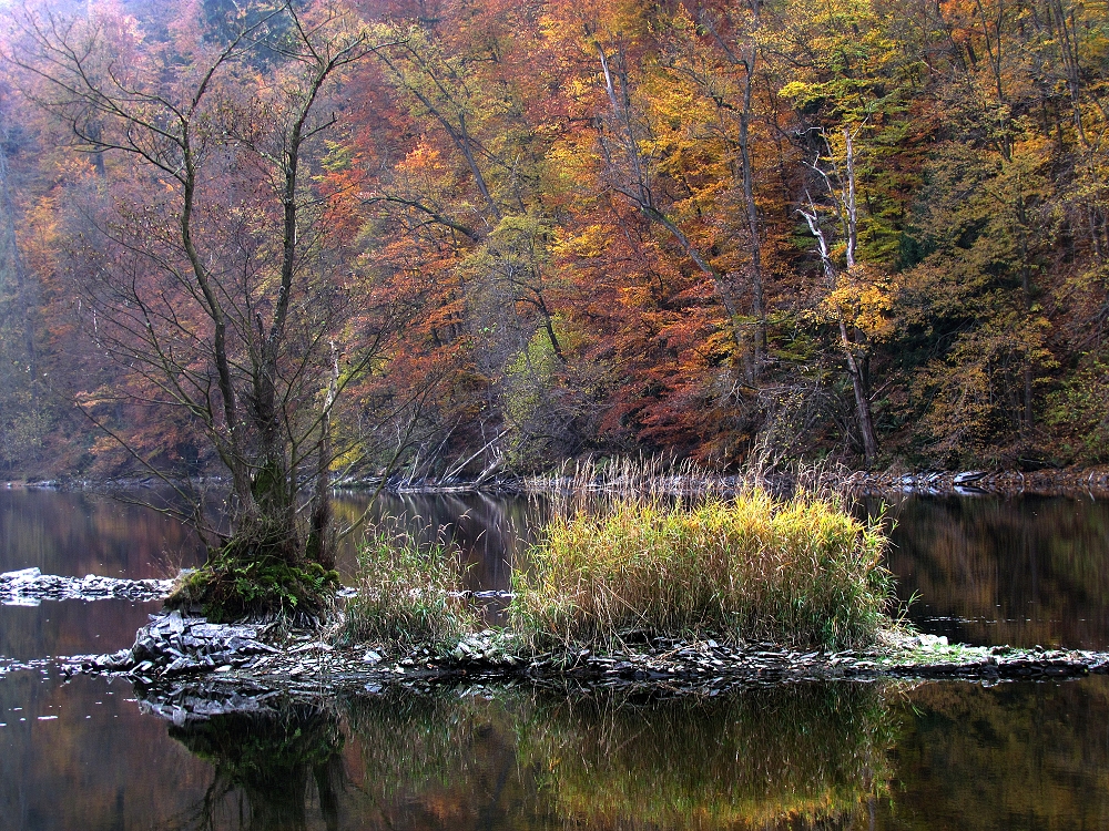 Spätherbst an der Saale