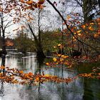 Spätherbst an der Würm