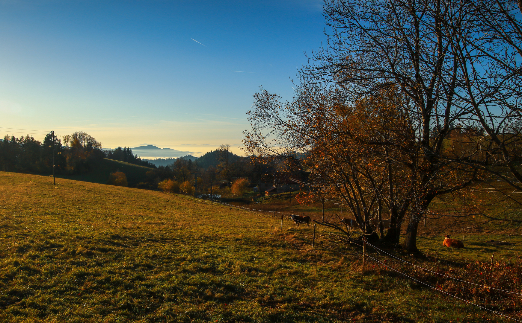 Spätherbst auf dem Land