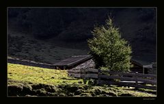 Spätherbst auf der Hagler Alm