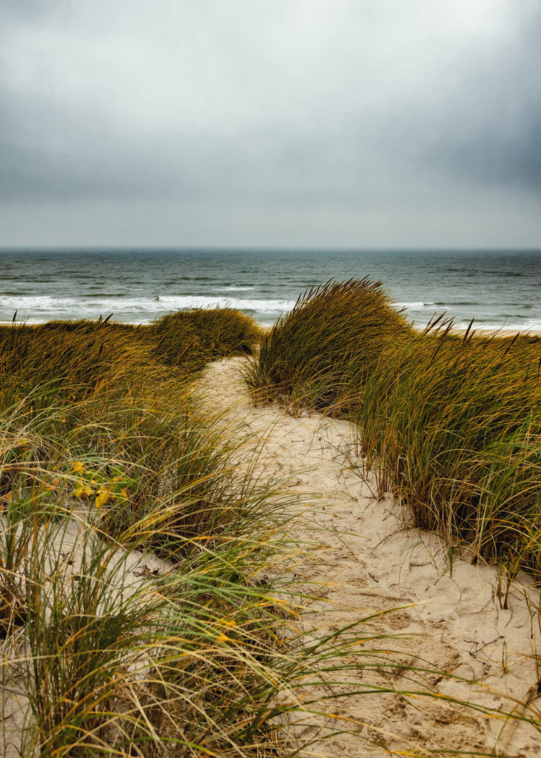 Spätherbst auf Sylt