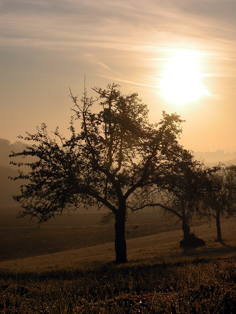 Spätherbst