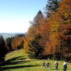 Spätherbst im Allgäu