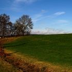 Spätherbst im Allgäu