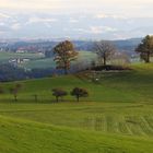 Spätherbst im Allgäuer Voralpenland